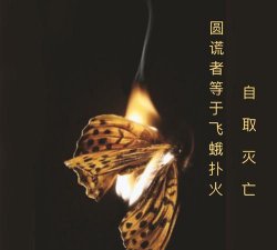 ​飞蛾扑火歇后语下一句，飞蛾扑火的歇后语是什么？