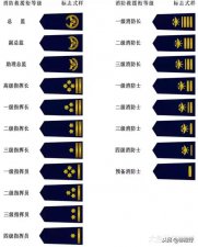 ​消防衔和海关衔（消防衔标制服大图官泄）