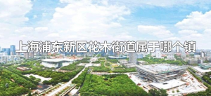 ​上海浦东新区花木街道属于哪个镇（浦东新区花木路属于哪个镇）