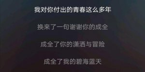 ​我对你付出的青春这么多年什么歌（歌词介绍）