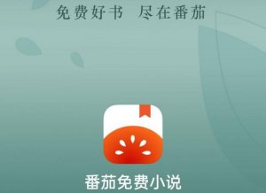 ​番茄小说中特别好听的几本书（番茄最好的四本历史文）