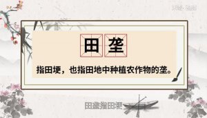 ​田垄的拼音（田垄释义）
