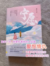 ​宁愿小说简介（宁愿小说介绍）