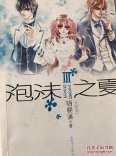 ​泡沫之夏小说简介（泡沫之夏小说介绍）