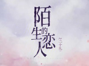 ​陌生的恋人改编自哪本小说（陌生的恋人改编自什么小说）