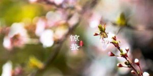 ​惊蛰吃什么传统美食,南方惊蛰吃什么传统美食