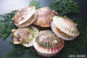 ​怎么清洗扇贝的正确方法（这样做最能保留扇贝的鲜味）
