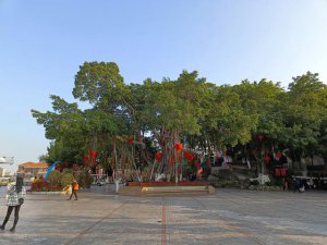 ​鼓浪屿岛屿哪个好玩（鼓浪屿的美要慢慢去挖掘）