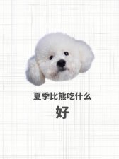 ​比熊犬可以吃些什么食物（注意这五种蔬菜）