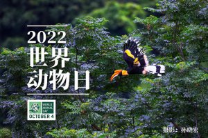 ​世界动物日有哪些（2022世界动物日共享地球）