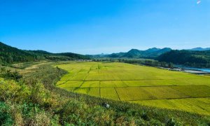 ​农村三块地具体哪三块,土地管理法三块地不包括哪一项