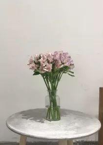 深圳有什么花店（深圳花店指南那些藏不住的小资花店）(20)