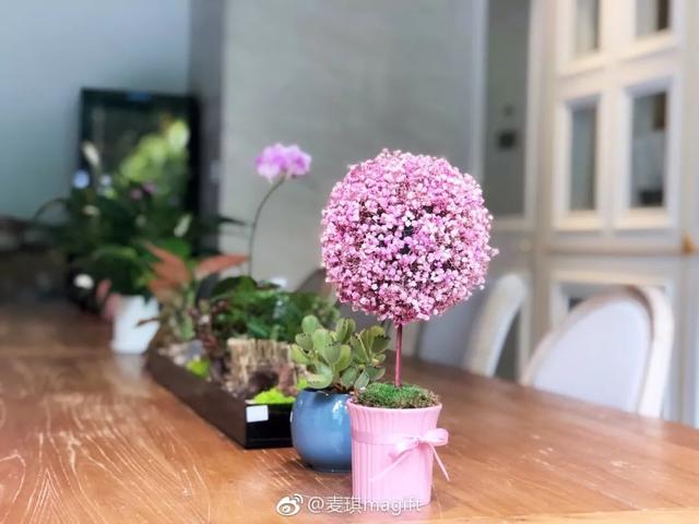 深圳有什么花店（深圳花店指南那些藏不住的小资花店）(9)