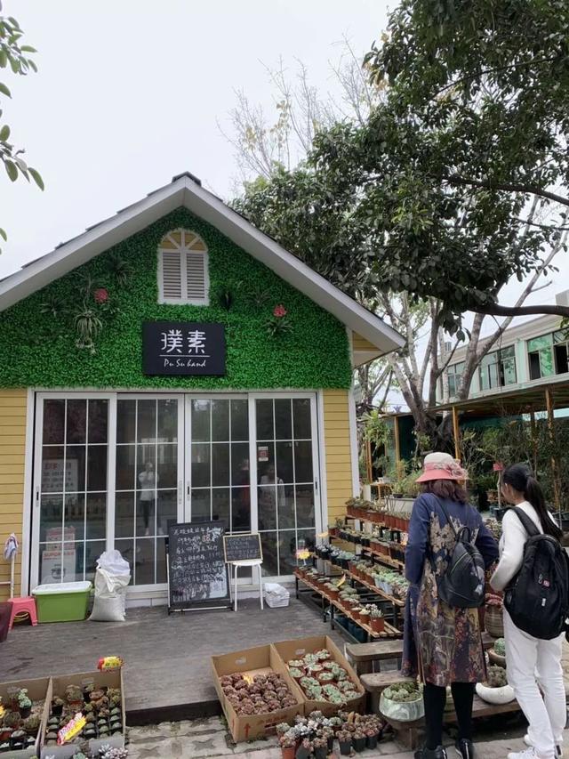 深圳有什么花店（深圳花店指南那些藏不住的小资花店）(5)