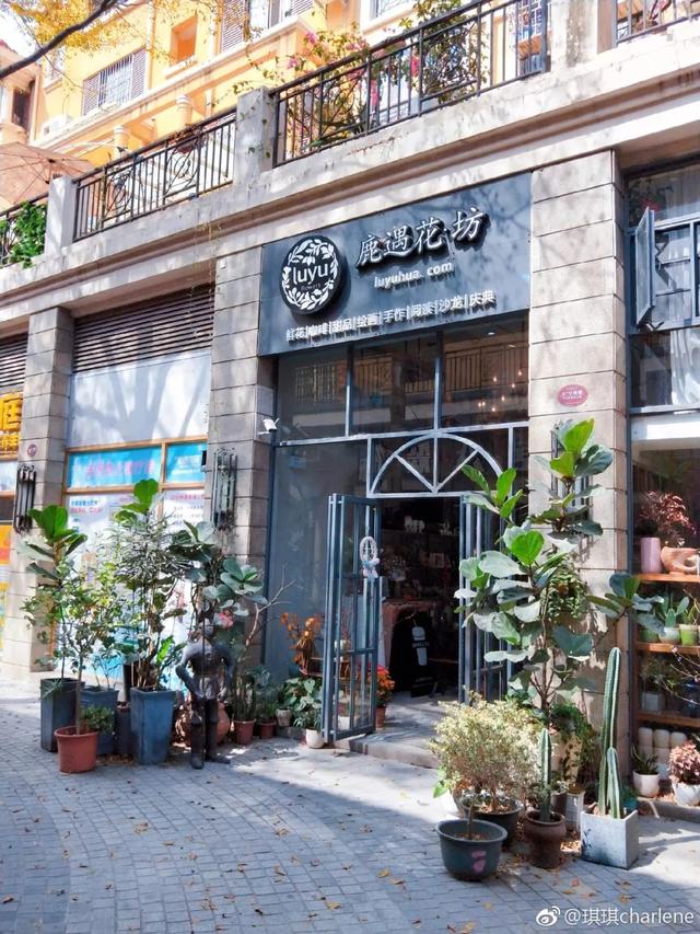 深圳有什么花店（深圳花店指南那些藏不住的小资花店）(15)