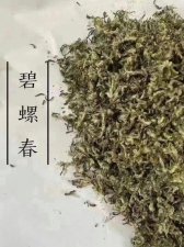 ​碧螺春的产地在哪（碧螺春介绍）
