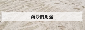 ​海沙烘干后用途,海沙的用途有哪些