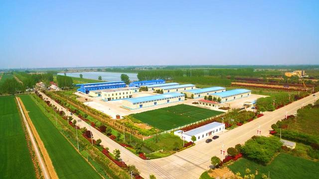 江苏大华种业集团有限公司（走近江苏省大华种业集团有限公司）(4)