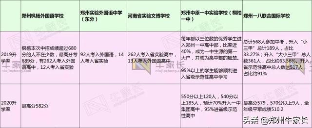 河南省郑州小升初名校排名（2022郑州小升初五大名校大比拼）(6)