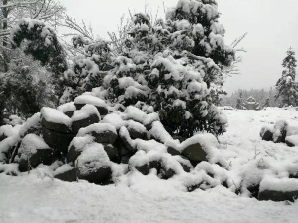 贵州大雪凝冻（贵州这场大雪70年难得一遇）(6)