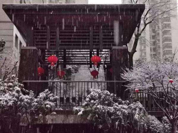 贵州大雪凝冻（贵州这场大雪70年难得一遇）(10)