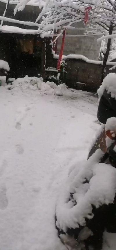 贵州大雪凝冻（贵州这场大雪70年难得一遇）(2)