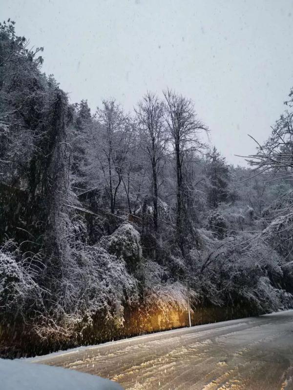 贵州大雪凝冻（贵州这场大雪70年难得一遇）(13)