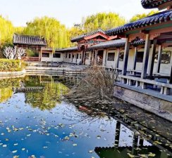 ​秋柳的寓意，秋柳双鸦图体现了什么家思想？