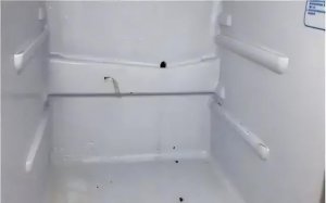 ​如何去除冰箱异味的小妙招（冰箱异味难闻教你3个小技巧）