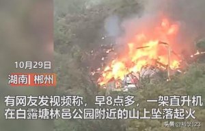 ​119陆航直升机坠毁事故（湖南一护林直升机坠毁）
