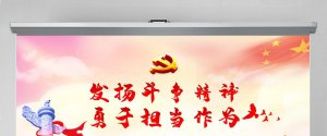 ​如何发扬斗争精神敢于担当作为（发扬担当和斗争精神）