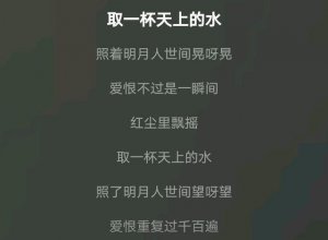 ​取一杯天上的水照着明月人世间晃啊晃是什么歌（取一杯天上的水出自哪首歌曲）