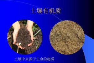 ​淋溶作用对土壤的影响,淋洗作用与淋溶作用