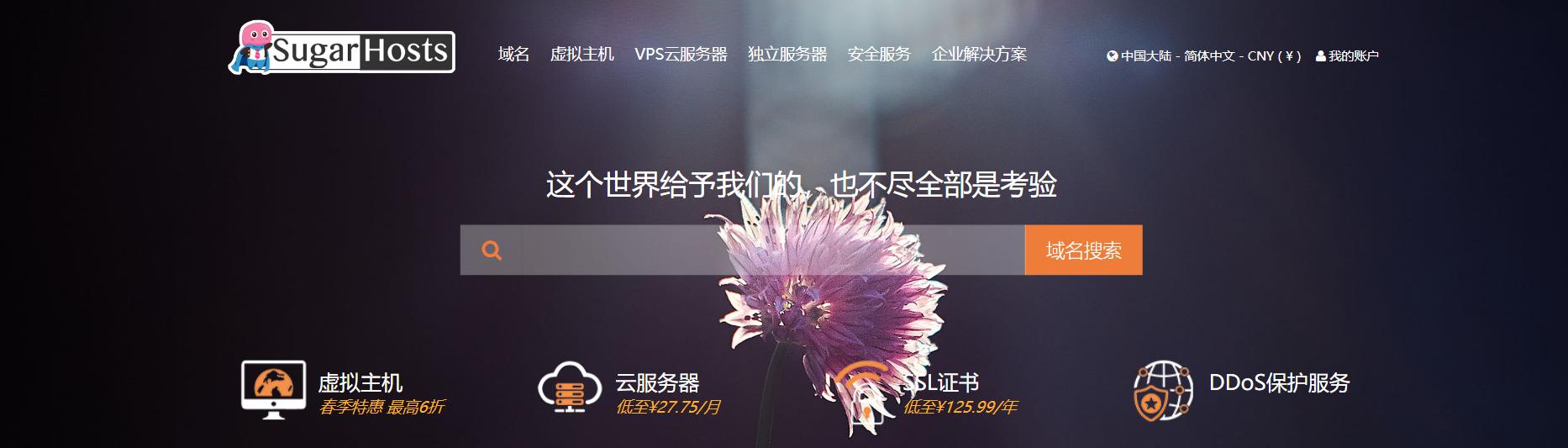 国内最好的虚拟主机（国内外虚拟主机比较）(1)