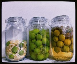 ​自制梅子酒（梅子酒做法）