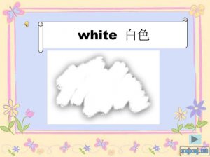 ​白色用英语怎么说（白色的英语翻译）