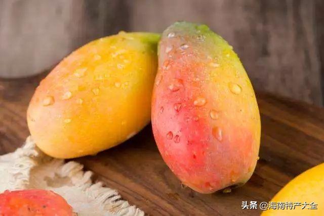 海南芒果品种（海南各品种芒果上市时间）(2)