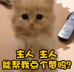 美容变毁容案例（东莞女子花上万元祛斑）(12)