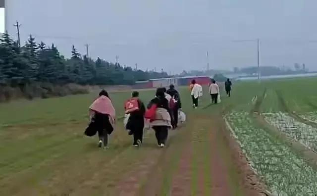 郑州富士康到底什么情况（你真的了解富士康吗）(6)