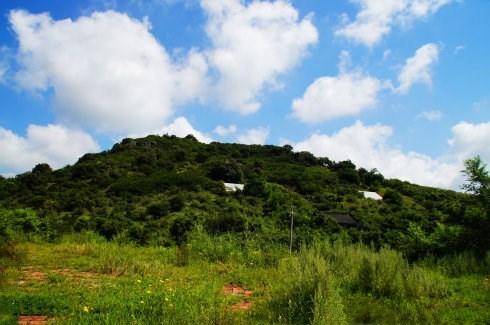 辽宁省彰武县概况（辽宁阜新彰武县----地名源于章古台）(5)