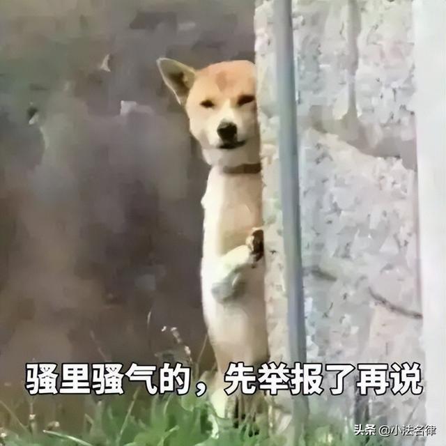 南京某高校领导婚内出轨（顶尖大学博士生）(8)