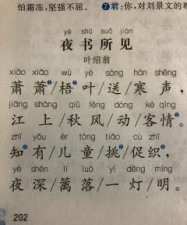 ​夜书所见古诗和意思,夜书所见的诗意 解释