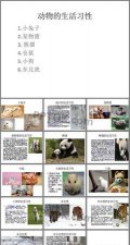 ​小白兔的生活习性，小白兔的外形特征、生活习性？