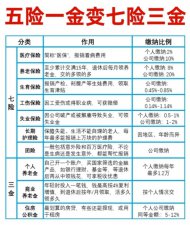 ​七险三金是啥指的都是什么 七险三金多了哪两险哪两金？