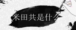 ​米田共是什么(“米田共”三个字可以垒成)