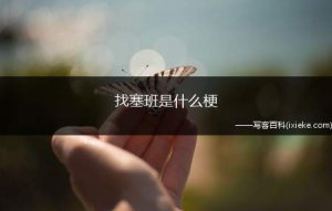 ​找塞班是什么梗 出自哪里
