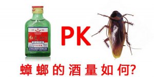 ​蟑螂怕酒精的味道吗，蟑螂怕酒精喷雾吗？