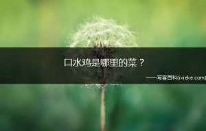 ​口水鸡是哪里的菜(口水鸡是哪里的菜系)