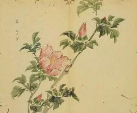 ​琼琚指的是什么，投我以木瓜报之琼琚指的是什么？