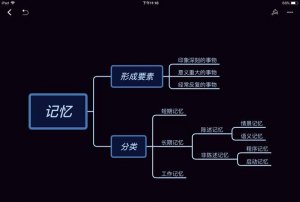 ​短期记忆和长期记忆与什么有关,短期记忆和长期记忆的关系
